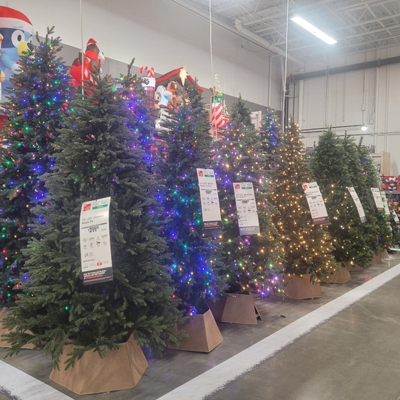 Meet your Posher, Lena - Picture 9 of 10